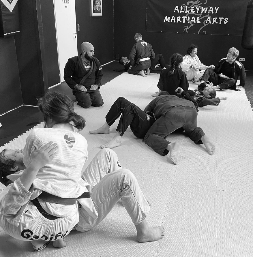 Alleyway Martial Arts - What is Brazilian Jiu-Jitsu?