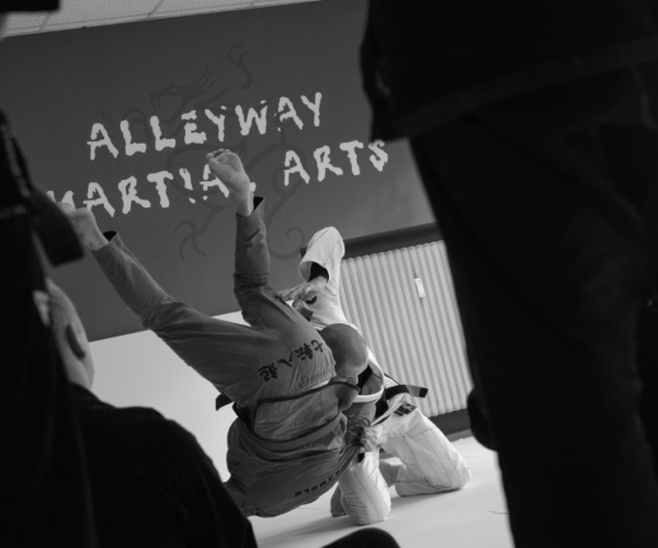 Alleyway Martial Arts Gallery Image