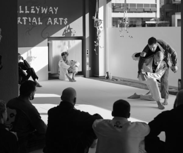 Alleyway Martial Arts Gallery Image